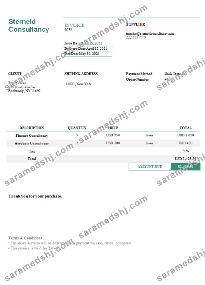 USA Sterneld Consultancy invoice